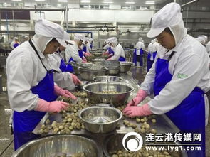 對接“一帶一路”戰略，打造新時代進出口食品安全大通道